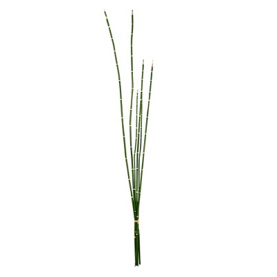 Vickerman 31'' Artificial Green Horsetail Bundle, Pack of 2