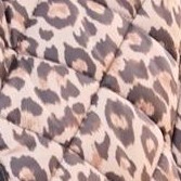 neutral leopard