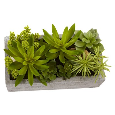Decorative Outdoor Tabletop Succulent Ensemble in Cement Planter