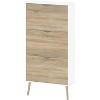 HomeStock 3 Drawer Shoe Cabinet, White/Oak Structure - 2 of 4