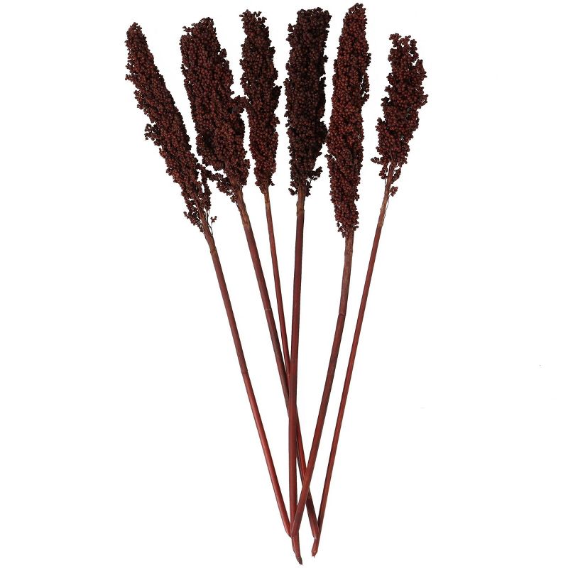 Dried Plant Corn Maze Natural Foliage with Long Stems Dark Brown - Olivia &#38; May, 4 of 7