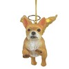 Design Toscano Honor the Pooch: Chihuahua Holiday Dog Angel Ornament - 3 of 4