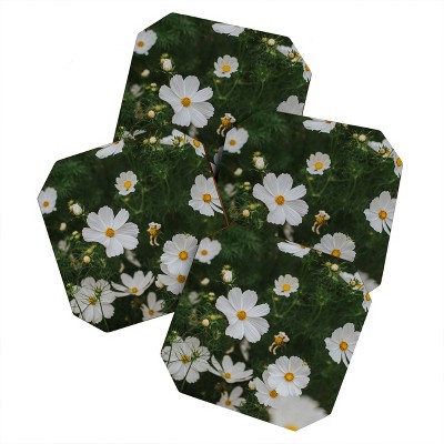 Hello Twiggs White Cosmos Set of 4 Coasters - Deny Designs