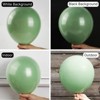 PartyWoo Balloons Sage Green Olive 18 12 10 5 Inch 142 pcs - 3 of 4
