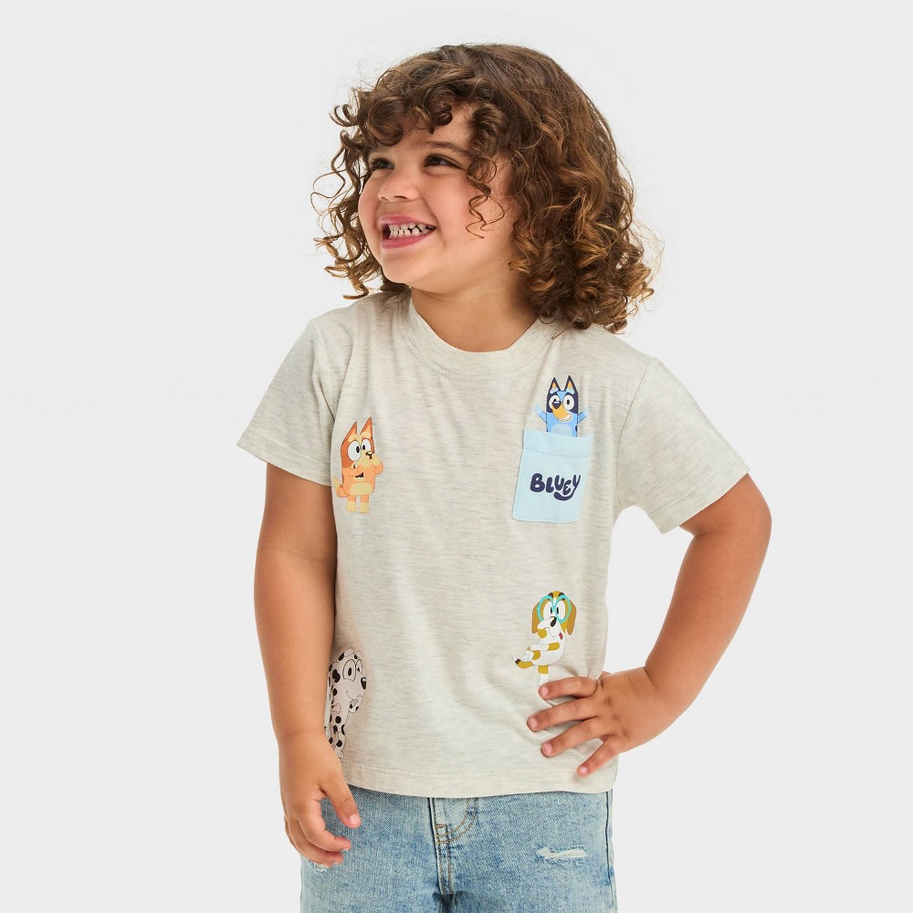 Toddler Bluey and Friends Short Sleeve Pocket T-Shirt - Cream