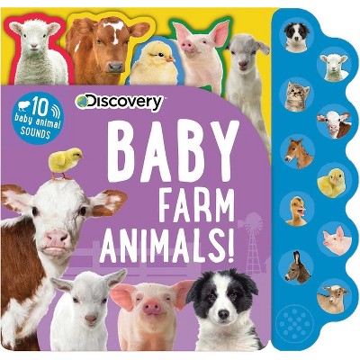 Image of Discovery: Baby Farm Animals! - (10-Button Sound Books) by  Thea Feldman (Board Book)