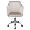 TiramisuBest Silver & Grey Velvet Swivel Office Chair with Casters - 3 of 4