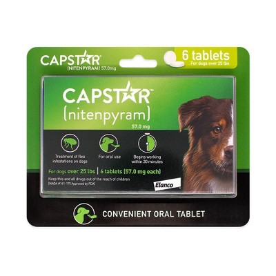 capstar monthly treatment