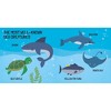 Sassi: Q-Box - The Sea - 40pc Puzzle,Booklet & 10 Ocean Figures,Interactive Fun - 4 of 4