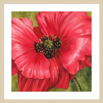 Vivid Poppy II Red and Green Framed Graphic Art Print