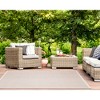 Liora Manne Avena  Indoor/Outdoor Rug  Ivory.. - 4 of 4