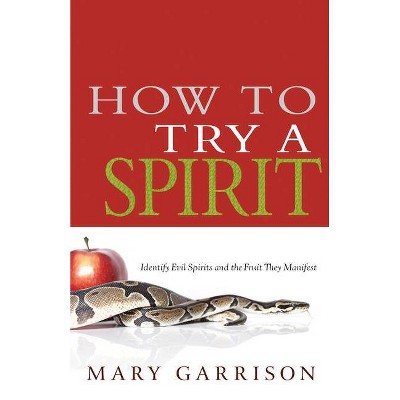 How to Try a Spirit - by  Mary Garrison (Paperback)