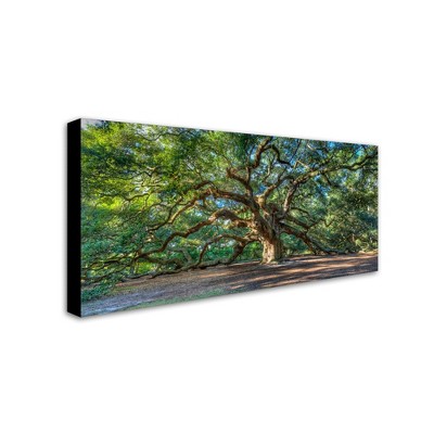 "Angel Oak Charleston" Outdoor All-Weather Wall Decor