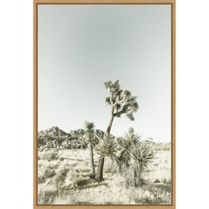 Amanti Art Joshua Tree National Park Vintage Impression by Melanie Viola Framed Canvas Wall Art - 1 of 4