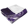 Warner Bros. Beetlejuice Purple Beetle Silk Touch Throw Blanket 50x60 Inches - 4 of 4