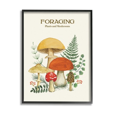 Stupell Industries Botanical Plants & Mushrooms Framed Giclee Art