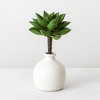 Succulent Plant Pick (Set of 12) - 2 of 3