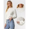 Allegra K Women's Texture Long Sleeve Casual Office Ruffled Mock Neck Tops - 2 of 4