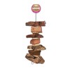Prevue Pet Products Natural Physical & Mental Munch 'n' Crunch Bird Toy 62822 - 2 of 3