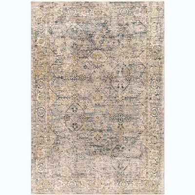 Mark & Day Harpers Ferry 2'7"x10' Runner Woven Indoor Area Rugs Denim: Stain-Resistant, Pet Friendly, Traditional Style