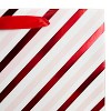 Large Portrait Diagonal Striped Gift Bag - Bullseye's Playground™ - 3 of 3