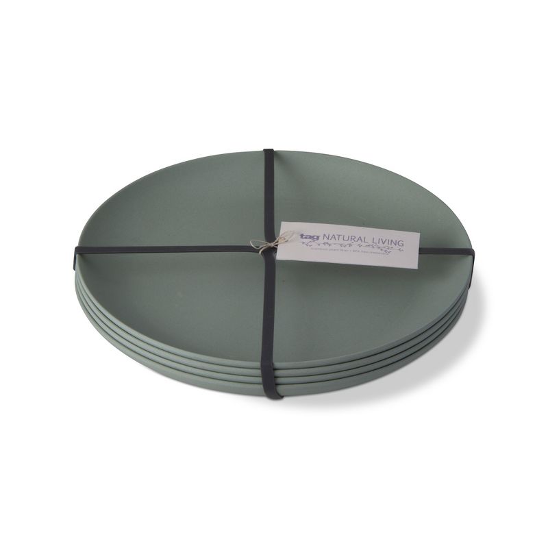 tagltd Botanica Bamboo Fiber Dinner Plate Set Of 4 Aqua Dinnerware Serving Plate, 1 of 2