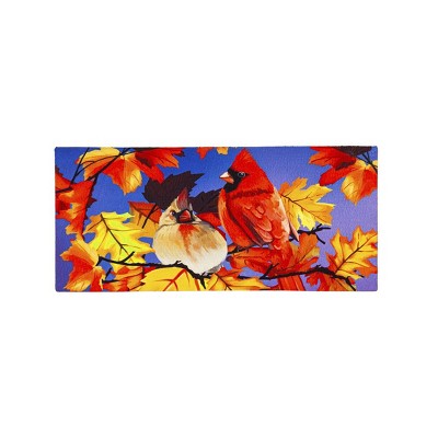Evergreen Cardinal Friends Sassafras Indoor Outdoor Switch Doormat 1'10"x22"