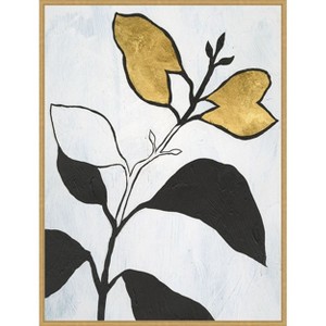 Amanti Art Hybrid Annuals I by Vanna Lam Framed Canvas Wall Art - 1 of 4