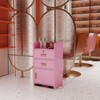 SKRAN Beauty Salon Storage Cabinet with Hair Dryer Holder - Pink MDF, 16.93"L x 13.78"W x 31.10"H, Stylish and Practical Equipment for Stylists - 2 of 4