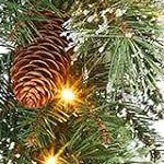 rolled snow pine needles