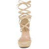 Allegra K Women's Open Toe Lace Up Clear Strap Platform Chunky Heels Sandals - 3 of 4