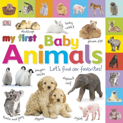 Baby store animals book