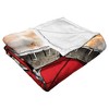 Marvel Spider-Man: No Way Home Web Capture Silk Touch Throw Blanket 50x60 Inches - 4 of 4