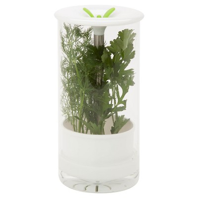 Honey-Can-Do Glass Herb Preserver