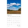 BrownTrout Wisconsin Wild and Scenic 2026 12"x24" Hanging Square Wall Calendar Plastic-Free - 3 of 4