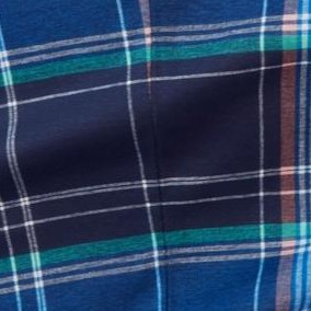 blue plaid