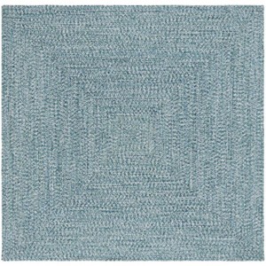 Braided BRA201 Hand Woven Rug - Safavieh - 1 of 4