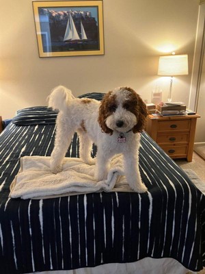 Guest review image 1 of 2, zoom in