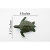 Collectible Wildlife Gifts | Turtle, Green Sea Turtle, Museum Quality, Hand Painted, Rubber Reptile, Realistic Toy Model, Gift,   4"   CH319 BB131 - 3 of 4