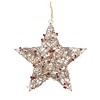 Northlight Lighted Glittered Rattan Berry Star Christmas Window Decoration - 18" - Clear Lights - 3 of 4