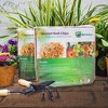 Envelor 4pk 10lb Compressed Coco Coir Husk Chips Potting Soil: Ideal for Repotting Orchids, Soil Amendment, Landscaping - 3 of 3