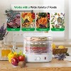 NutriChef Electric Countertop Food Dehydrator - Food Preserver - 4 of 4