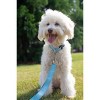 Country Brook Petz American Made Deluxe Nylon Dog Collar - 4 of 4
