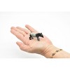 Tapir, Tapirus, Tapiridae, Very Nice Plastic Design, Animal Figure, Educational, Figure, , Model, Figurine, Replica, Toy,  2 Inches.  CWG127 B238 - 3 of 4