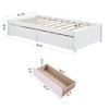 Durable Twin Bed Frame Featuring Two Drawers - 4 of 4