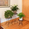 12.5" x 12" Roman Bronze Wrought Iron Capri Plant Stand Powder Coated - ACHLA Designs: No Assembly, Indoor/Outdoor Use - 4 of 4