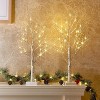 Angel Sar 2FT LED Birch Tree, 2PK Battery Powered Lighted Trees with Timer, Warm White Fairy Spirit Tree for Indoor Decor - 2 of 4