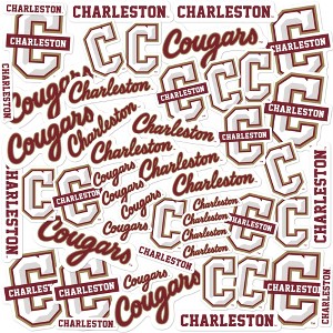 College Of Charleston Spirit Logo 50Ct Sticker Packs Miscellaneous 50 Ct. Sticker Pack - 1 of 4