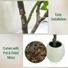 Artificial Flower Tree Artificial Potted Interior Large Fruit, Suitable for Home Office - 3 of 4