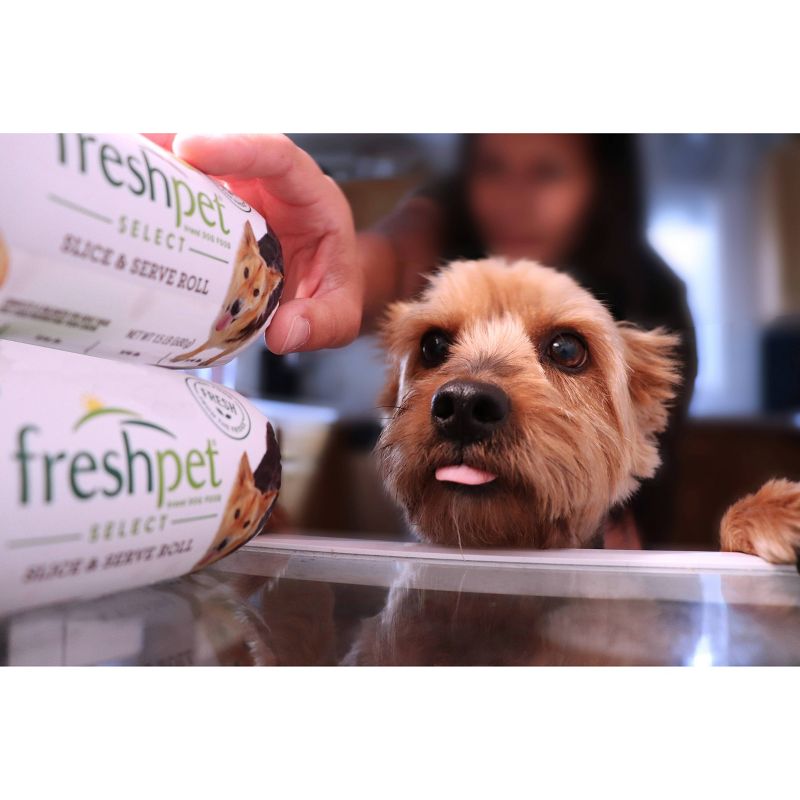 Freshpet Nature&#39;s Fresh Roll Grain Free Turkey Recipe Refrigerated Wet Dog Food - 2lbs, 3 of 8